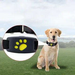 Dog GPS
